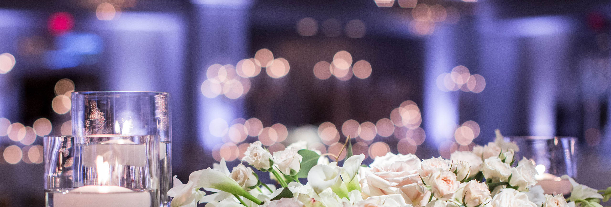 white and pink rose flowers